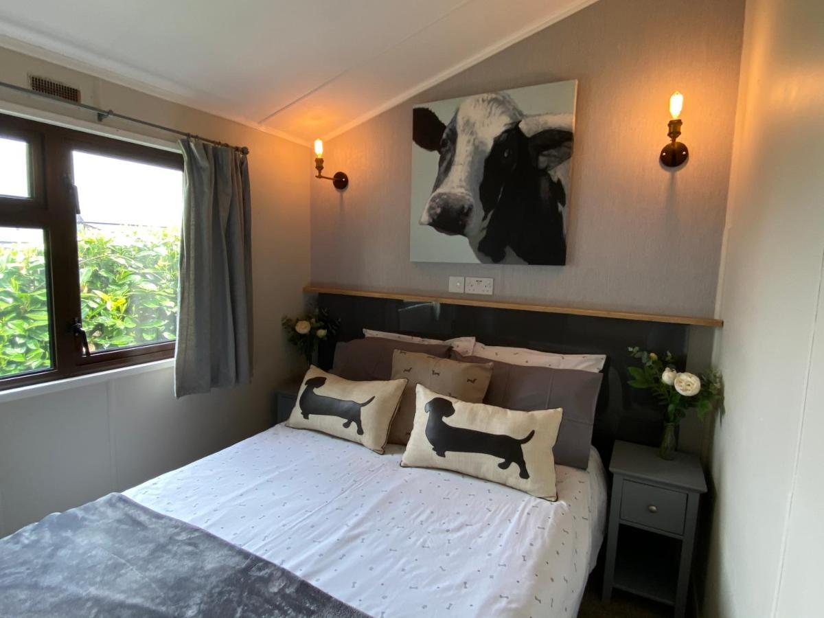 Rew Farm Country & Equestrian Accommodation - Sunrise Lodge مالكشم المظهر الخارجي الصورة